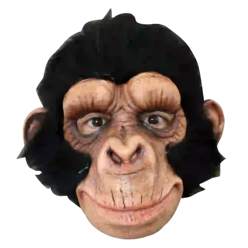 Máscara de Chimp George