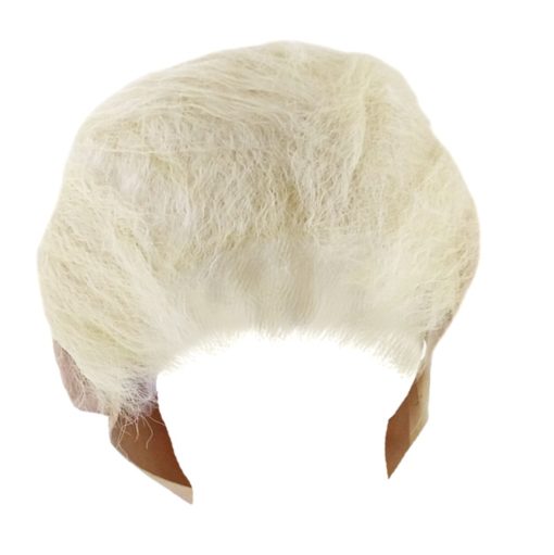 Máscara de Trump With Hair