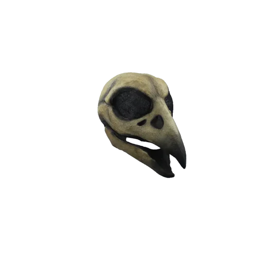 Máscara de Raven Skull