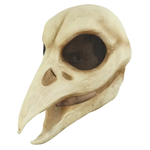 Máscara de Raven Skull