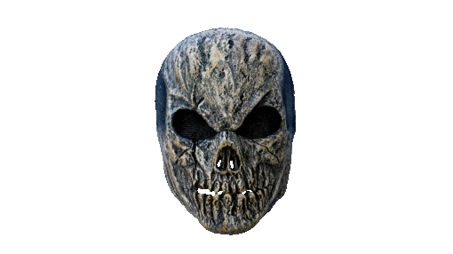 Old Skull