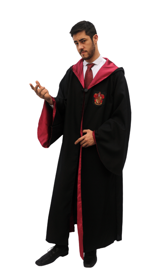 Harry Potter Gryffindor