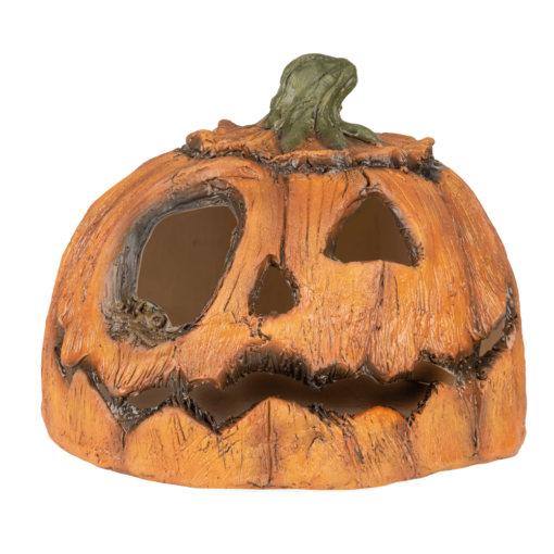 Rotten Pumpkin 2