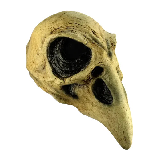 Máscara de Crow Skull