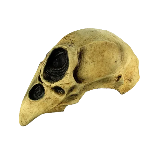 Máscara de Crow Skull