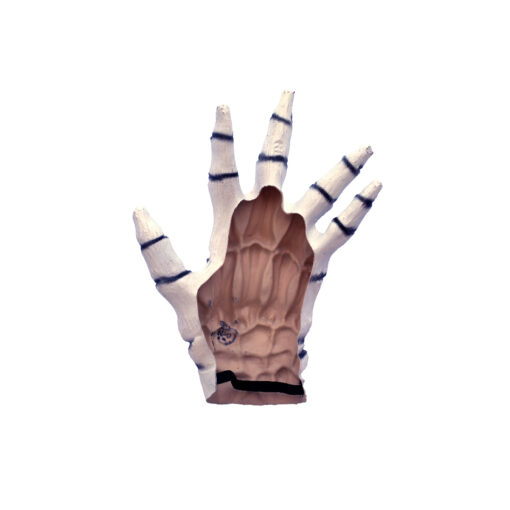 Junior Skeleton hands white