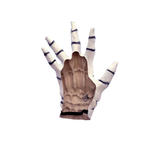 Junior Skeleton hands white