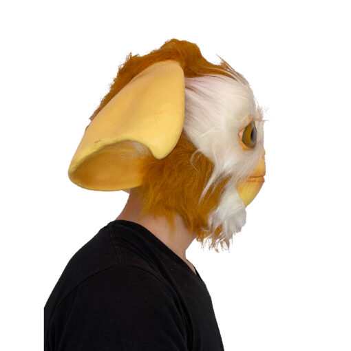 Gizmo mask