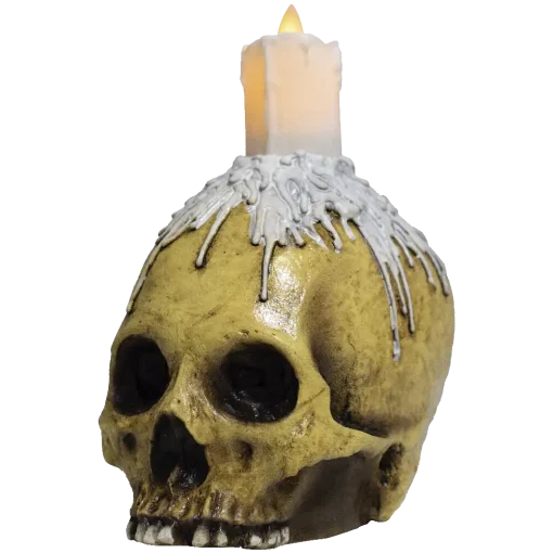 Waxed Skull